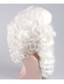 Santa Claus Wig and Beard Set HX-016